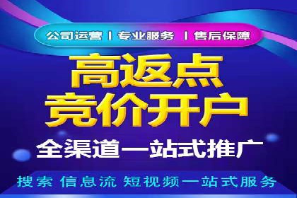 行业领先企业的SEM代理案例剖析