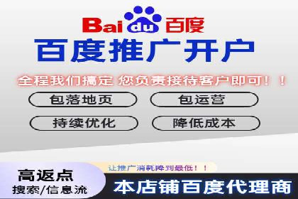 托管竞价sem案例分享：某电商平台的成功之路